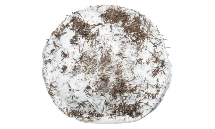 Brie ,La Dzorette‘, Michel Béroud - Viani